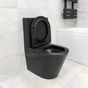 Black Executive Set Water Closet