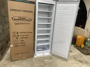 Haier Thermocool Hf-250bs Silver Upright: 235l Inverter Powerhouse