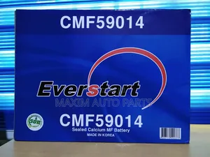 Everstart Korean Battery
