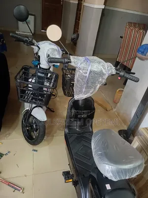 Electric Bike