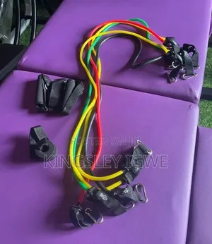 Workout Resistance Band Set