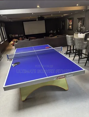 Brand New DHS Indoor Table Tennis Gold Rainbow Table