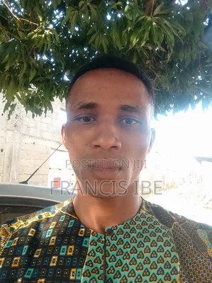 Mr Francis Ibe
