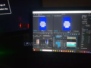 Video Editor / Videographer