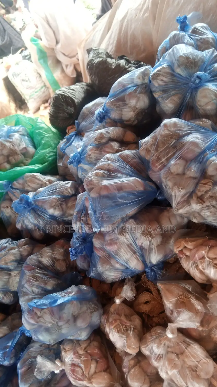 Fresh Garlic