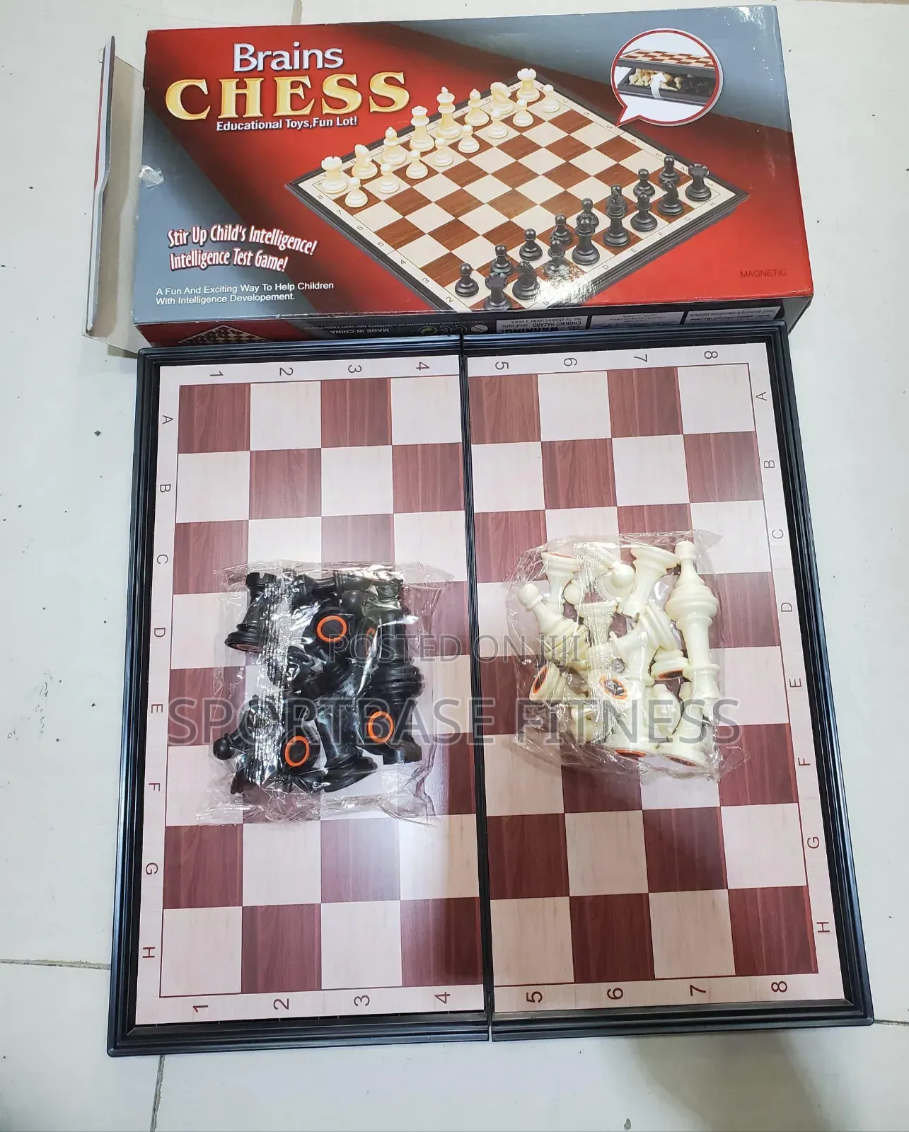 Big Brain Chess Game