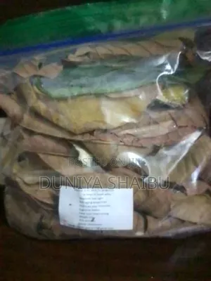Soursop Leaf, Guava, Avocado, Lemon Grass Etc