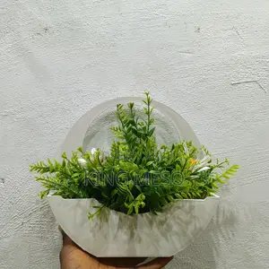 Wall Flower Vase Available