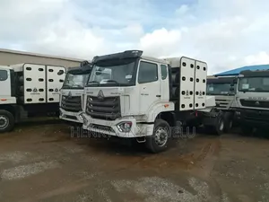 CNG Chinese Trucks