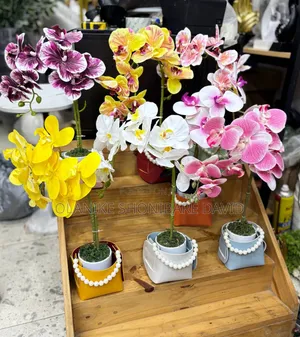 Orchid Flower for Centre Table