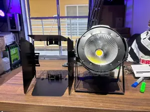 Cob Lights 100watts