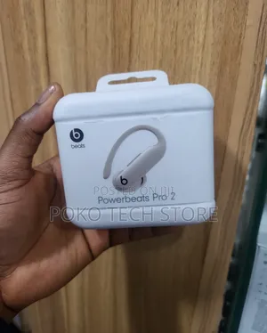 Beats Powerbeats Pro 2-gray