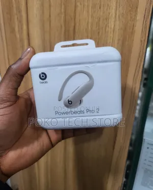 Beats Powerbeats Pro 2-gray