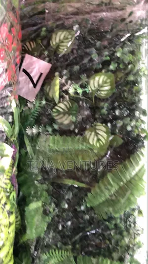 Wall Flower Mat