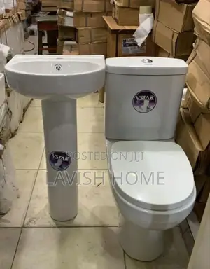 Vstar Toilet Seat With Basin and Pedestria