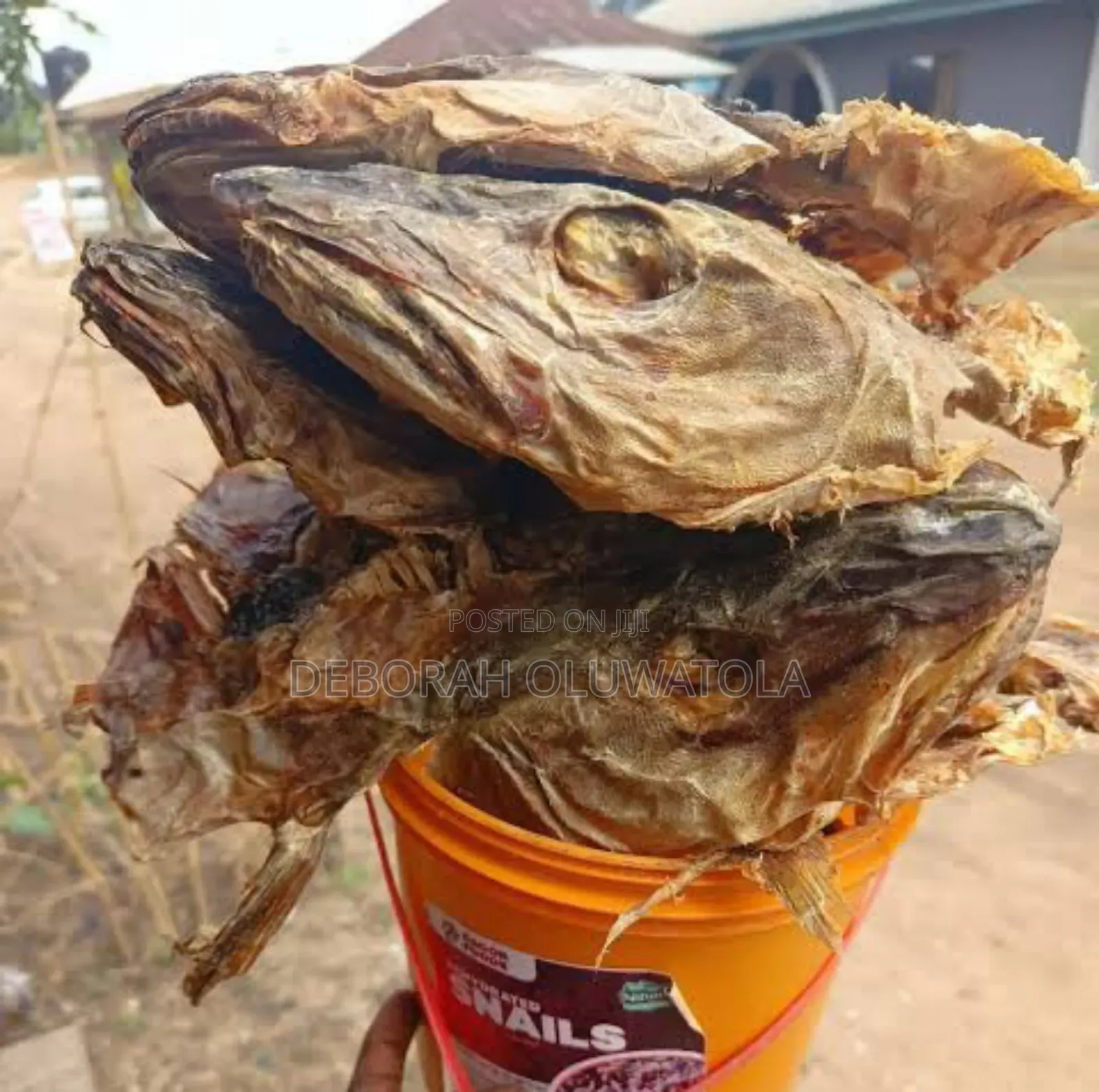 Stock Fish