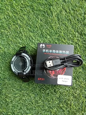 Gt31 Phone Cooler With Ice