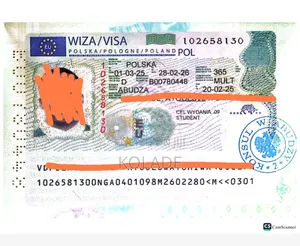Study in Poland Undergraduate