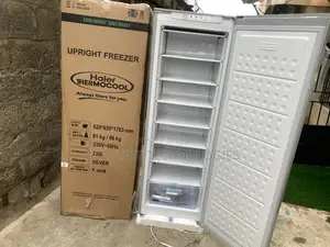 Haier Thermocool Hf-250bs Silver - 235l Upright For Family Storage