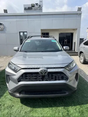 Toyota RAV4 LE AWD 2019 Silver