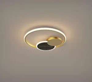 Modern Golden Ceiling Lights.