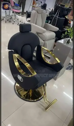 Luxury Salon Chair