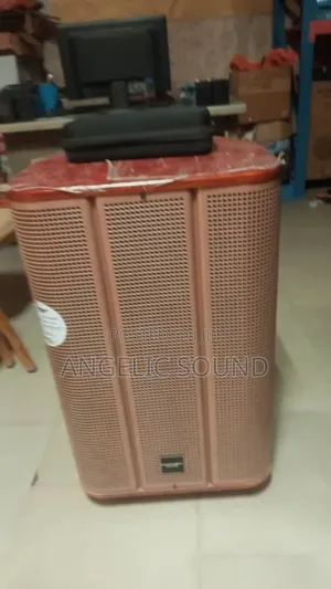Modern Day 15 Inches Wooden Body, Mlg1525kb TWS Function