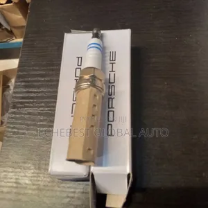 Original Plugs for Porsche Panamera V8 4.8/V6 3.6