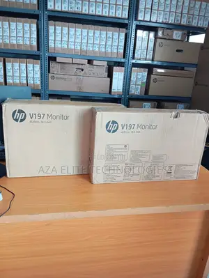 Hp V197 18.5-Inch Monitor