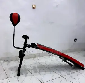 Sit-Up Bench With Punching Ball