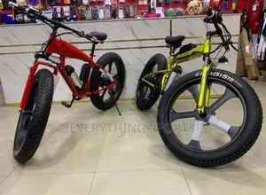 Luxury Standard Big Tyre Bicycle