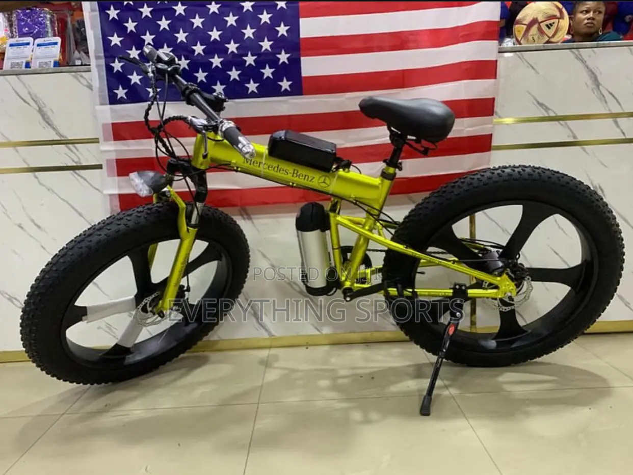 Luxury Electric Bicycle
