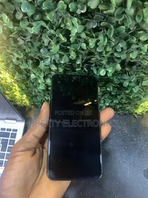 Apple iPhone 11 Pro Max 512 GB Green