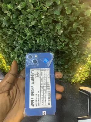 Apple iPhone 13 256 GB Blue