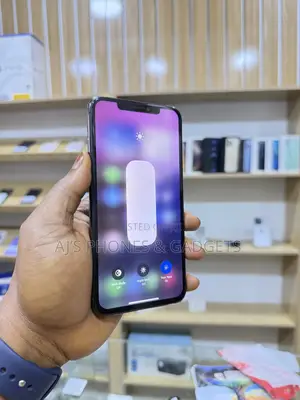 Apple iPhone 11 Pro Max 256 GB Gray