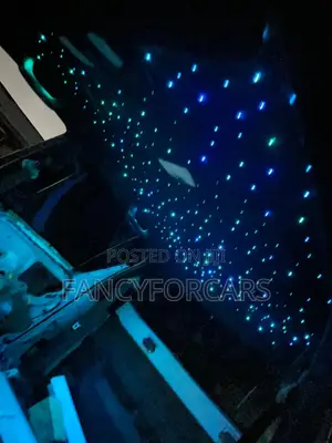 Factory Fitted Star Roof Light