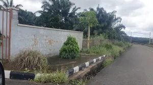 Land for Sale in Nsukka