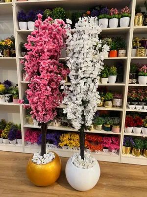 Round Fibre Pot With Cherry Blossom Flower