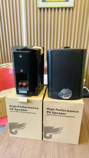 Quality Hanging Speakers For Indoor Or Outdoor