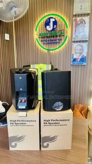 Quality Hanging Speakers For Indoor Or Outdoor