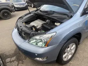 Lexus RX 330 2005 Blue