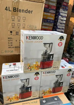 High Quality Kenwood Big Size Slow Juicer