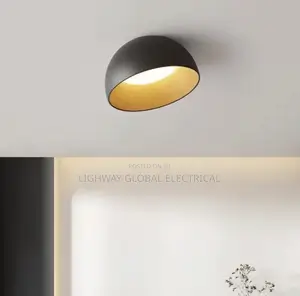 Nordic Led Ceiling Light