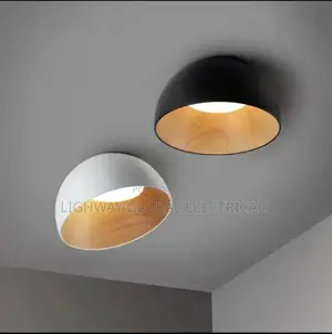 Nordic Led Ceiling Light
