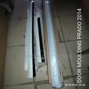 Door Molding Prado 2014