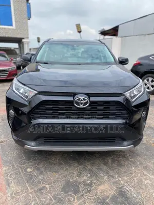 Toyota RAV4 LE AWD 2019 Black