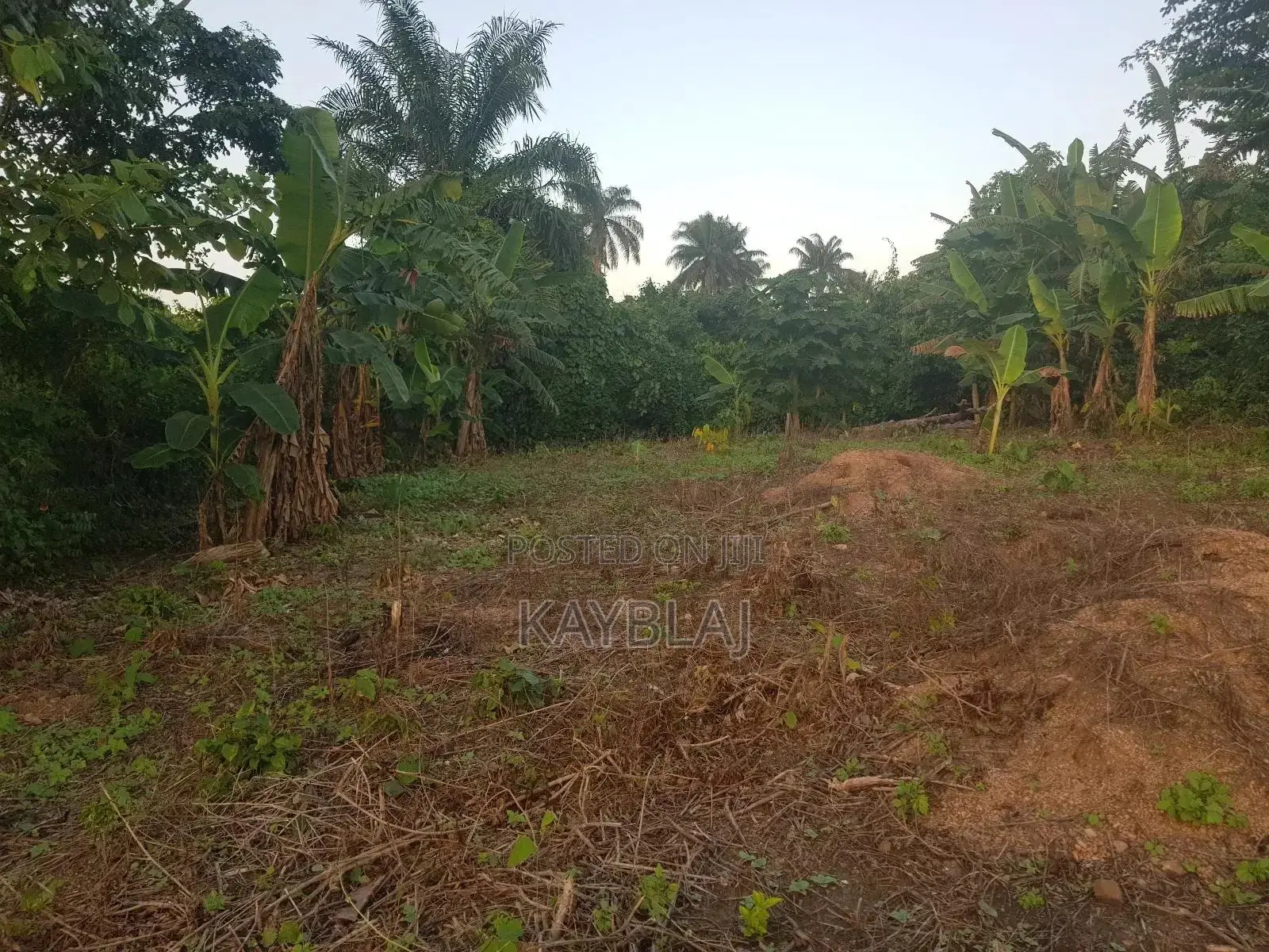 A Plot of Land for Rent