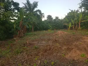 A Plot of Land for Rent