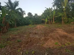 A Plot of Land for Rent