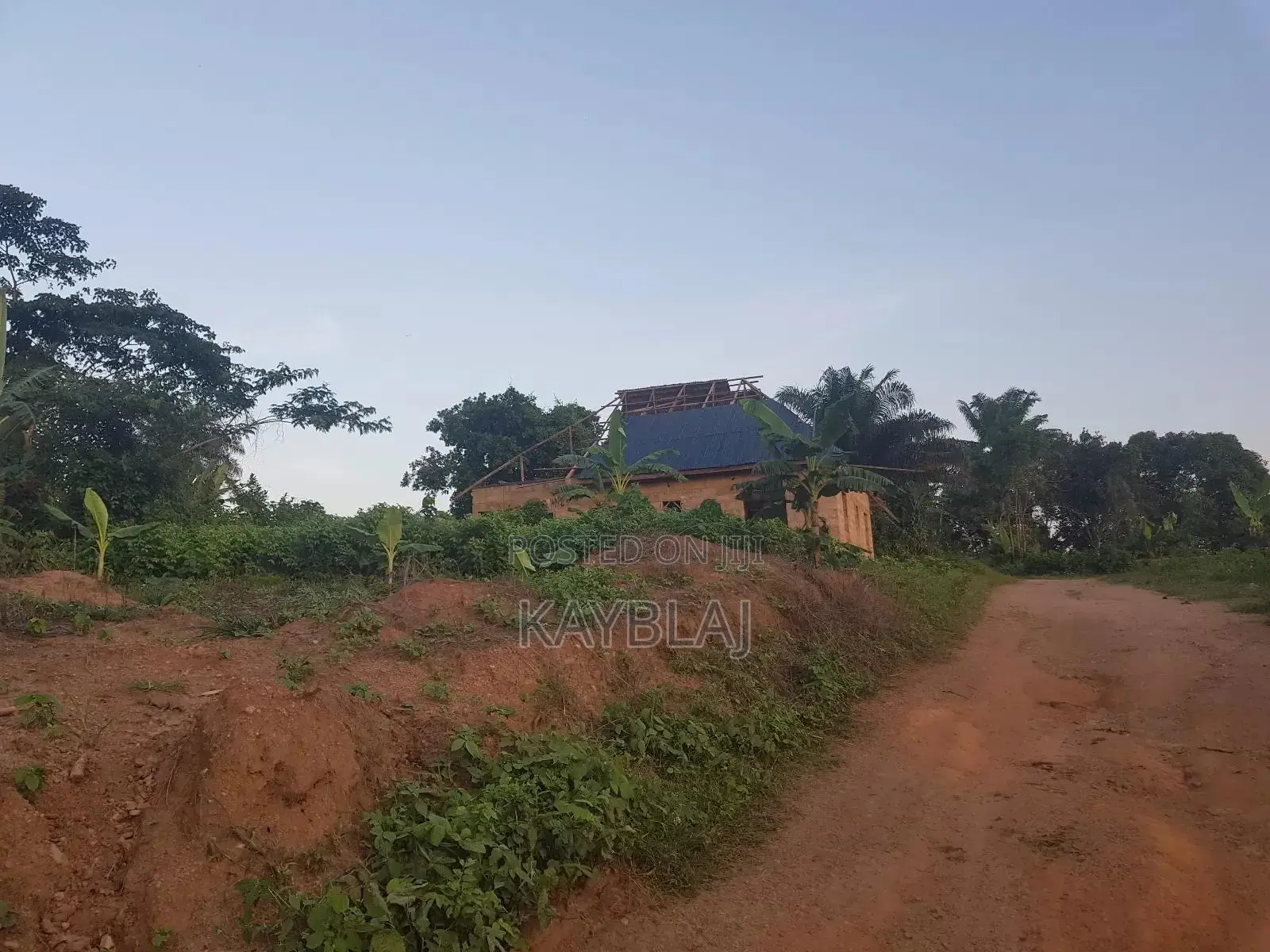 A Plot of Land for Rent
